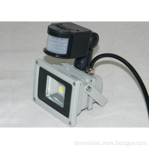 PIR / RGB 10W outdoor landscape flood lights Waterproof 3